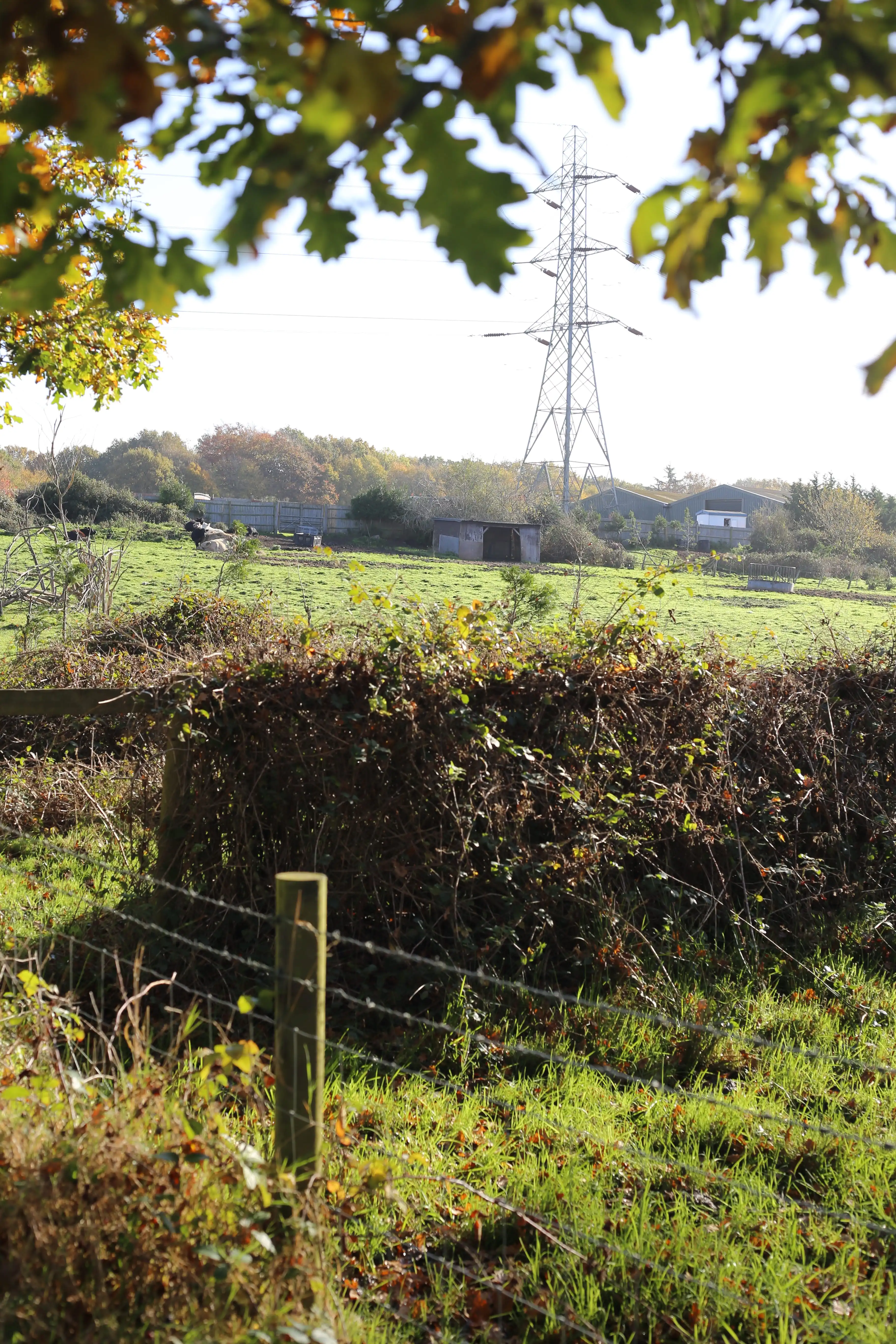 Electricity pylons and previously developed land